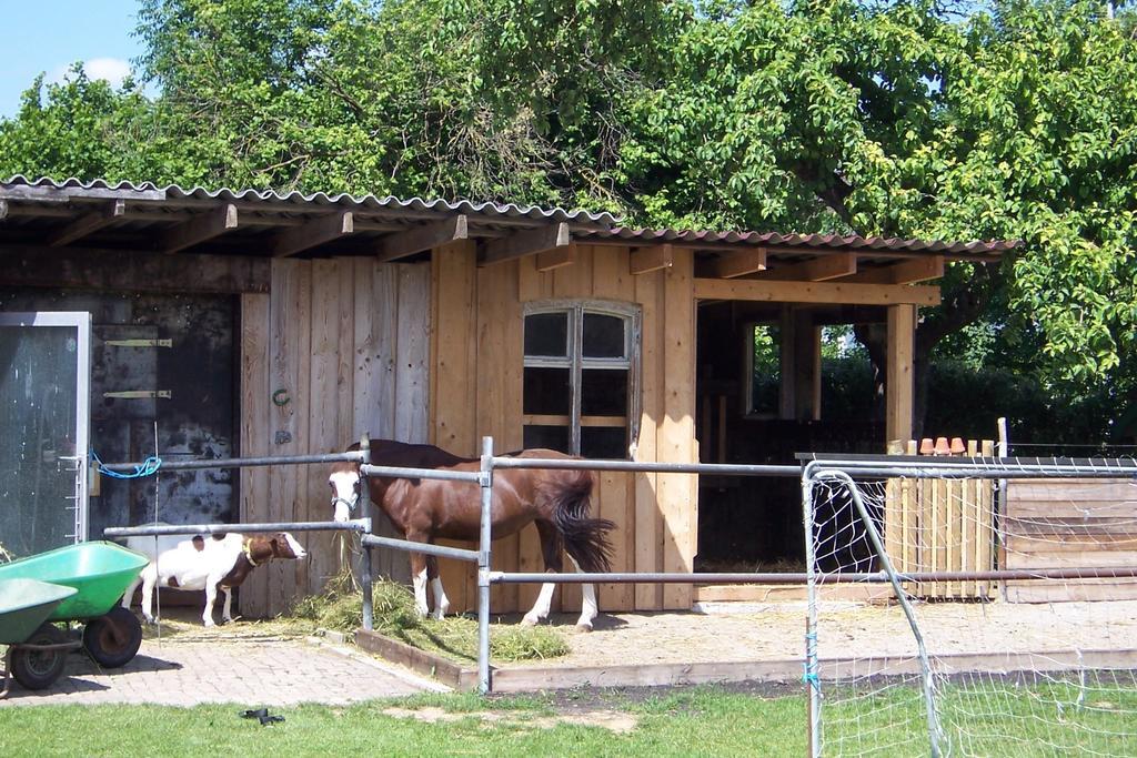 Landhotel Zum Adler Oberbechingen Exteriér fotografie